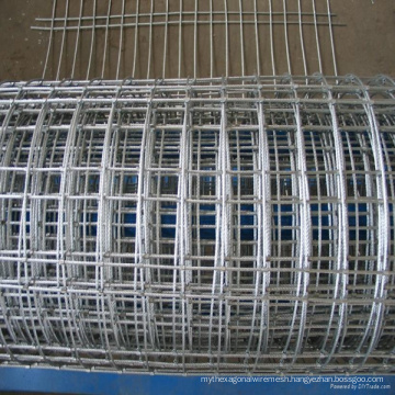 Electro Galvanized Welded Wire Mesh Roll